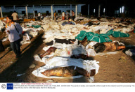EARTHQUAKE AND TSUNAMI DISASTER, KHAO LAK, THAILAND - 28 DEC 2004