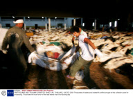 EARTHQUAKE AND TSUNAMI DISASTER, KHAO LAK, THAILAND - 28 DEC 2004