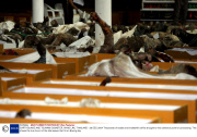 EARTHQUAKE AND TSUNAMI DISASTER, KHAO LAK, THAILAND - 28 DEC 2004