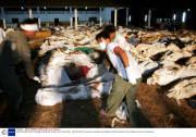 EARTHQUAKE AND TSUNAMI DISASTER, KHAO LAK, THAILAND - 28 DEC 2004