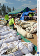 EARTHQUAKE AND TSUNAMI DISASTER, THAILAND - 31 DEC 2004