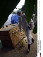 FILE: THIALAND: TSUNAMI FORENSICS