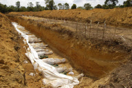 Thailand Tsunami Mass Grave 