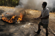 Thailand Tsunami Mass Grave 