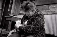 Photo series of 88-year-old Misao and her odd-eyed kitten Fukumaru, Japan - 22 Nov 2012