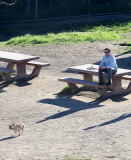 Exclusive... Dog Park Time For 'Hangover' Actor Justin Bartha And His Pooch 