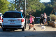 Jenna Dewan: Cab for three please!