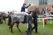 Hennessy Gold Cup, Newbury Racecourse, Britain - 1 Dec 2012