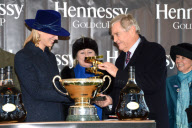 Hennessy Gold Cup, Newbury Racecourse, Britain - 1 Dec 2012