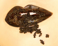 Lip art designs created by student make-up artists, Britain - 2012