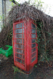 Full functioning telephone box completely covered in ivy creepers, Exning, near Newmarket, Suffolk, Britain - 03 Dec 2012