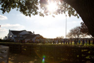 TX: Larry Hagman Memorial