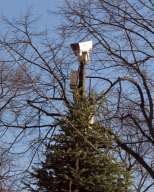 CCTV camera attached to a Christmas Tree, Sale, Cheshire, Britain - 29 Nov 2012