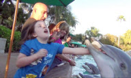 Video shows 8-year-old girl bitten while feeding a dolphin at SeaWorld, Orlando, Florida, America - Dec 2012