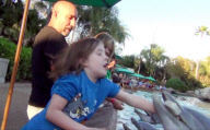 Video shows 8-year-old girl bitten while feeding a dolphin at SeaWorld, Orlando, Florida, America - Dec 2012