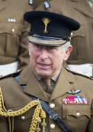 Prince Charles welcomes home 1st Battalion Welsh Guards, Hounslow, Middlesex, Britain - 06 Dec 2012