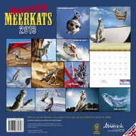 Maverick Meerkats 2013 - 07 Dec 2012