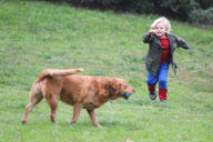 Gwen Stefani and Gavin Rossdale get some Quality Alone Time at the Park