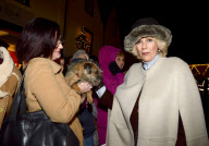  Camilla Christmas Lights 071212