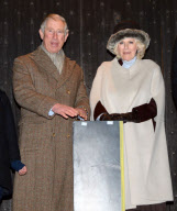  Camilla Christmas Lights 071212
