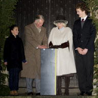  Camilla Christmas Lights 071212