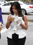 Kim Kardashian's Kitty Mercy Has Passed Away ***FILE PHOTOS*** 
