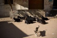 Cairo Egypt