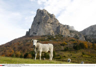 FRA:  Bugarach: the French village destined to survive the Mayan apocalypse