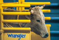 National Finals Rodeo