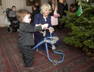 Camilla Hosts Clarence House Lunch