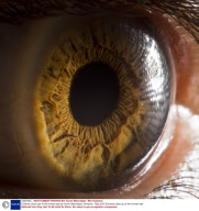 Extreme close ups of the human eye by Suren Manvelyan, Armenia - Sep 2010