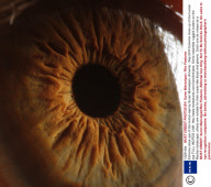 Extreme close ups of the human eye by Suren Manvelyan, Armenia - Sep 2010