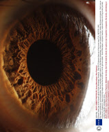 Extreme close ups of the human eye by Suren Manvelyan, Armenia - Sep 2010