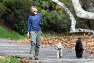 Portia de Rossi takes the dogs for an afternoon stroll