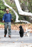 Portia de Rossi takes the dogs for an afternoon stroll