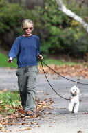 Portia de Rossi takes the dogs for an afternoon stroll