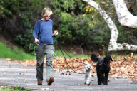 Portia de Rossi takes the dogs for an afternoon stroll