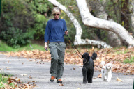 Portia de Rossi takes the dogs for an afternoon stroll