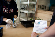 Harborside Medical centre