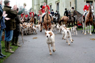 Boxing Day Fox Hunt
