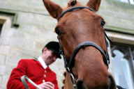 Boxing Day Fox Hunt