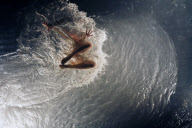 FUERZABRUTA BACK AT THE ROUNDHOUSE!