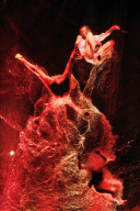 FUERZABRUTA BACK AT THE ROUNDHOUSE!