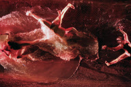 FUERZABRUTA BACK AT THE ROUNDHOUSE!