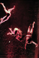 FUERZABRUTA BACK AT THE ROUNDHOUSE!