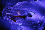 FUERZABRUTA BACK AT THE ROUNDHOUSE!