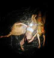 FUERZABRUTA BACK AT THE ROUNDHOUSE!