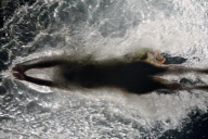 FUERZABRUTA BACK AT THE ROUNDHOUSE!