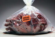 Organspende