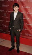BSI - 24th Annual Palm Springs International Film Festival - Awards Gala - Arrivals
